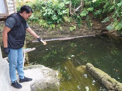 Balita Kebumen Tewas Tenggelam di Kolam Depan Rumah