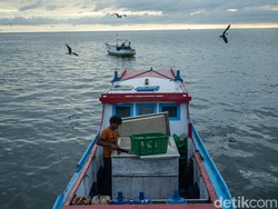 Ekonomi Biru: Mesin Pertumbuhan Baru Indonesia