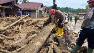 Korban Meninggal Akibat Bencana di Agam 120 Orang, 74 Masih dalam Pencarian