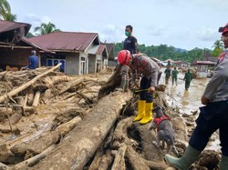 Korban Meninggal Akibat Bencana di Agam 120 Orang, 74 Masih dalam Pencarian