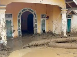 Walhi Kritik Gubernur Sumbar soal Bencana: Jangan Cuci Tangan