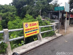 Bikin Bau! Limbah Kepala Lele Dibuang di Bawah Jembatan Jalan Telasih Boyolali