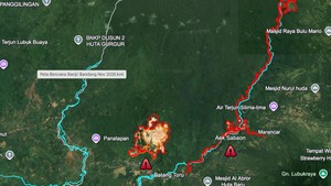 Video Citra Satelit Deforestasi di Sumut yang Diduga Sebabkan Bencana