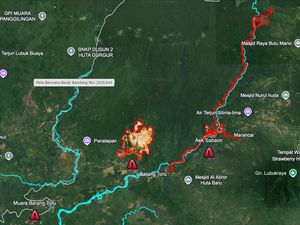 Citra Satelit Ungkap Deforestasi Parah di Sumatera Utara