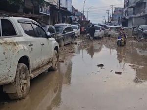 Dilanda Banjir dan Longsor, Aceh Tamiang Butuh Bantuan Logistik-Listrik