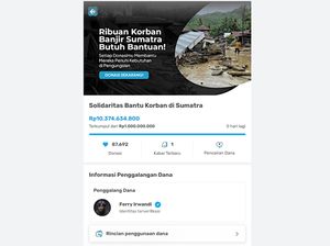 Ferry Irwandi Galang Dana Korban Banjir Sumatra, Rp 10 M dalam 24 Jam