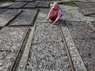 Ikan Teri Gorontalo Laris Manis, Harga Melonjak