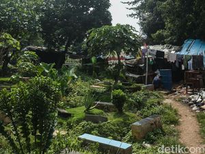 Bolehkah Menanam Pohon di Makam? Ini Hukumnya dalam Islam