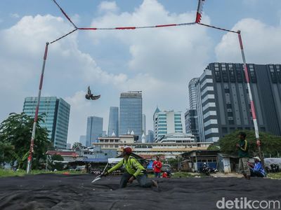 Lahan Kosong Casablanca Jadi Arena Bergengsi Latihan Burung Dara