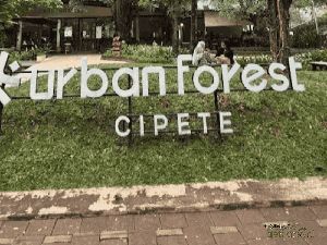 Urban Forest Cipete, Oase Hijau Gratis di Dekat Stasiun MRT Jakarta