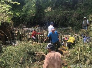 50 Hektare Sawah di Sukabumi Terancam Gagal Panen gegara Irigasi Jebol