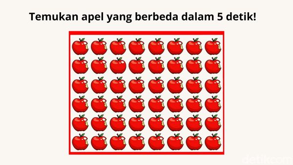 Bisa Temukan Satu Objek yang Berbeda? Buktikan Ketajaman Matamu!