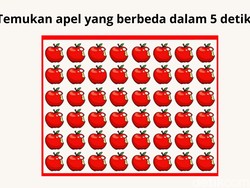 Uji Kejelian mata, Temukan Objek yang Berbeda dalam 8 Permainan Gambar Ini