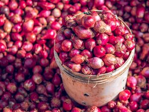 Harga Sembako Jogja Hari Ini 3 Desember 2025: Giliran Bawang Merah Naik!