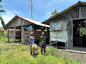 S2P Kembangkan Kelompok Ternak di Desa Karangkandri Jadi Lebih Modern