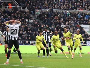 Newcastle Vs Tottenham Tuntas 2-2