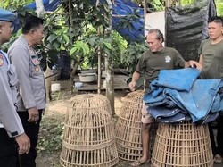 Arena Judi Sabung Ayam Trenggalek Digerebek Polisi Usai Warga Lapor 110