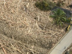 Pakar IPB Jelaskan soal Kayu Gelondongan Hanyut di Longsor dan Banjir Sumatera