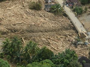Material Kayu Menggunung Setelah Arus Deras Menerjang Tapanuli