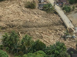3 Pernyataan Bareskrim soal Perkara Kayu Gelondongan Naik Penyidikan