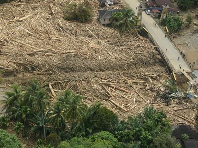 Material Kayu Menggunung Setelah Arus Deras Menerjang Tapanuli