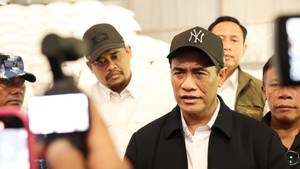 Pemerintah Bakal Cetak Ulang 11.000 Ha Sawah di Sumatera yang Terdampak Banjir