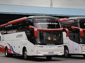 PO Borlindo Rilis Bus Anyar, Ada 2 Kursi Spesial di Bagian Depan