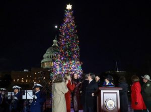 Pohon Natal Capitol Menyala, Tradisi Panjang Kembali Hidup di Washington