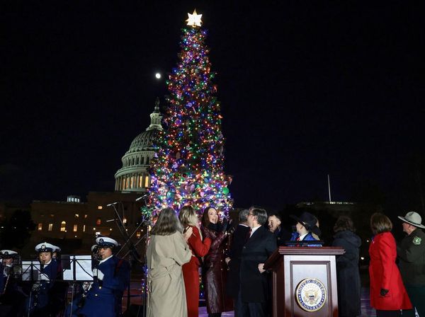 Pohon Natal Capitol Menyala, Tradisi Panjang Kembali Hidup di Washington