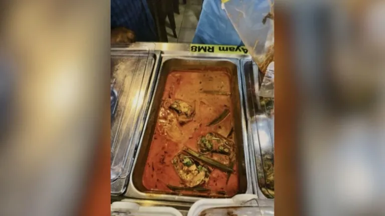 Menu Kari Basi Bikin Resto Ini Tutup, Pegawainya Didenda Rp 22 Juta!