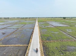 DPUPR Indramayu Benahi Ruas Jalan untuk Permudah Akses Pertanian