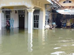 Hampir Seribuan Rumah Tergenang Banjir Rob di Pantura Subang