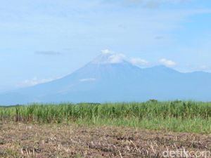 Gunung Semeru 4 Kali Erupsi Pagi Ini, Kolom Abu Capai 1.000 Meter