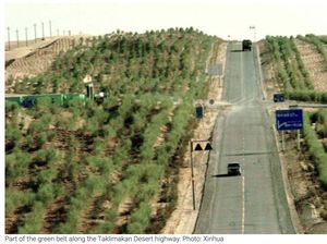 Bukan Deforestasi, China Malah Hutankan Gurun Puluhan Tahun