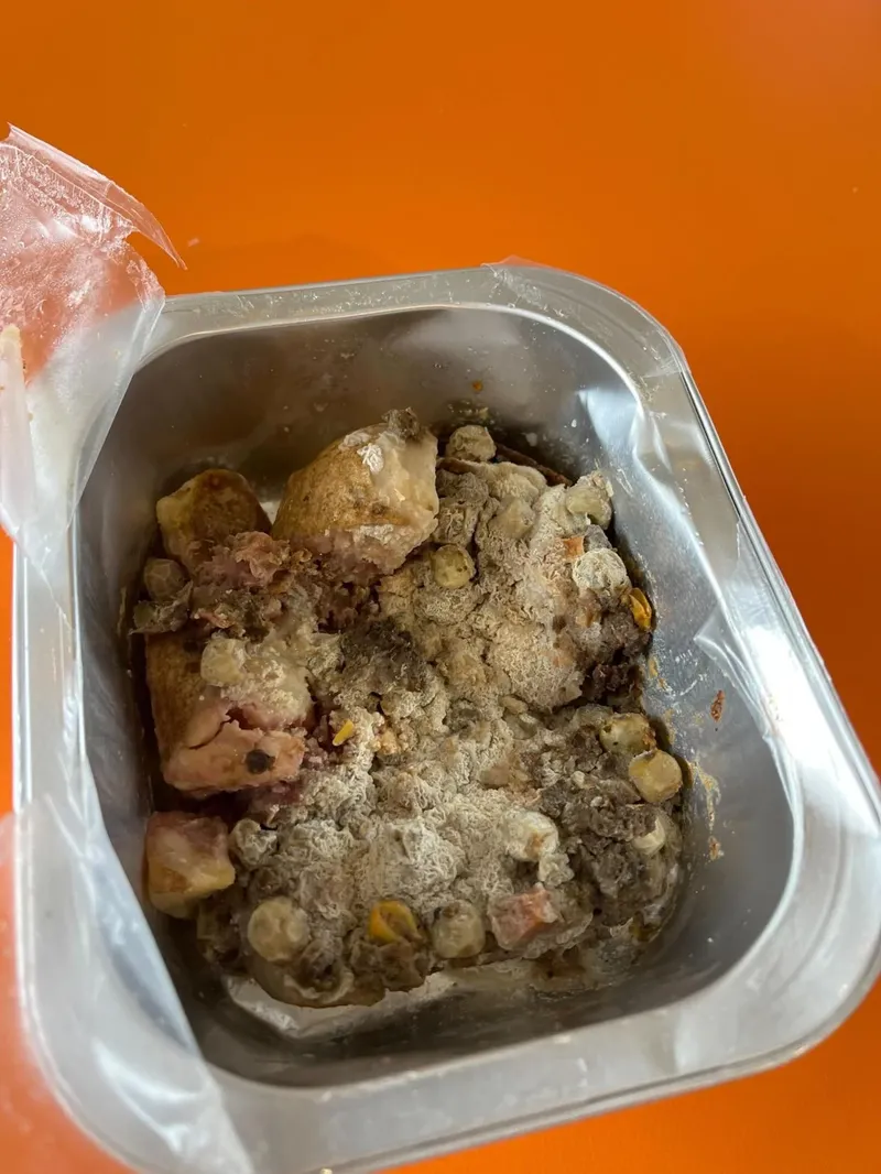 Gegara Makan Siang Gratis di Sekolah Berjamur, Siswa Ini Sakit