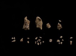 Riset Terbaru Ungkap Dua Jenis Manusia Purba Hidup Berdampingan, Kok Bisa?