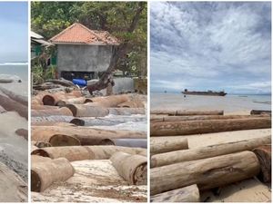 Kapal Asal Sumbar Angkut Ribuan Batang Kayu Kandas di Perairan Lampung