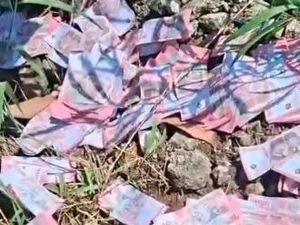 Viral Temuan Uang Palsu Rp 100 Ribu Terhambur di Jalan Morowali, Ini Faktanya