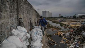 Ditambal Darurat, Tanggul Muara Baru Kini Aman Sementara
