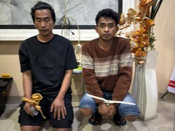 Polisi Tangkap 2 Kurir Narkoba di Riau, 8 Kg Sabu Jaringan Malaysia Disita