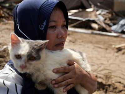 Hewan Peliharaan Ikut Jadi Korban Saat Banjir Terjang Permukiman