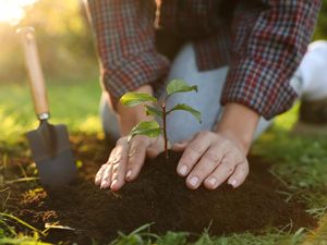 Kalender Jawa Minggu Legi 4 Januari 2026: Sumur Sinaba