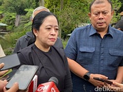 Puan Sebut Revisi UU Kehutanan Akan Dibahas Usai Bencana Sumatera Ditangani