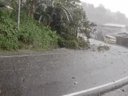 Ngeri! Tiang Listrik Ambruk di Loji Sukabumi, Warga Lari Lihat Kilatan Api