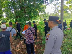 Tim Gegana Sisir Lokasi Penemuan Ratusan Amunisi di Gua Lowo Bojonegoro