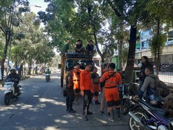 Pohon Mahoni 15 Meter Tumbang Timpa Pemotor di Bogor, 2 Orang Terluka