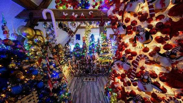 Rekor Dunia, Rumah di Jerman Dipenuhi 621 Pohon Natal