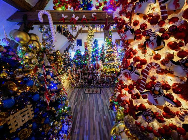 Rekor Dunia, Rumah di Jerman Dipenuhi 621 Pohon Natal