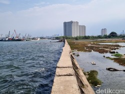 Tanggul Muara Baru Jakut yang Bocor Ditambal Karung Pasir, Begini Kondisinya