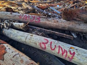 Relawan Sukabumi Ungkap Temuan Kayu Bernomor di Lokasi Banjir Aceh